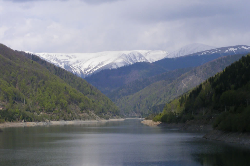 baraj rausor pescuit