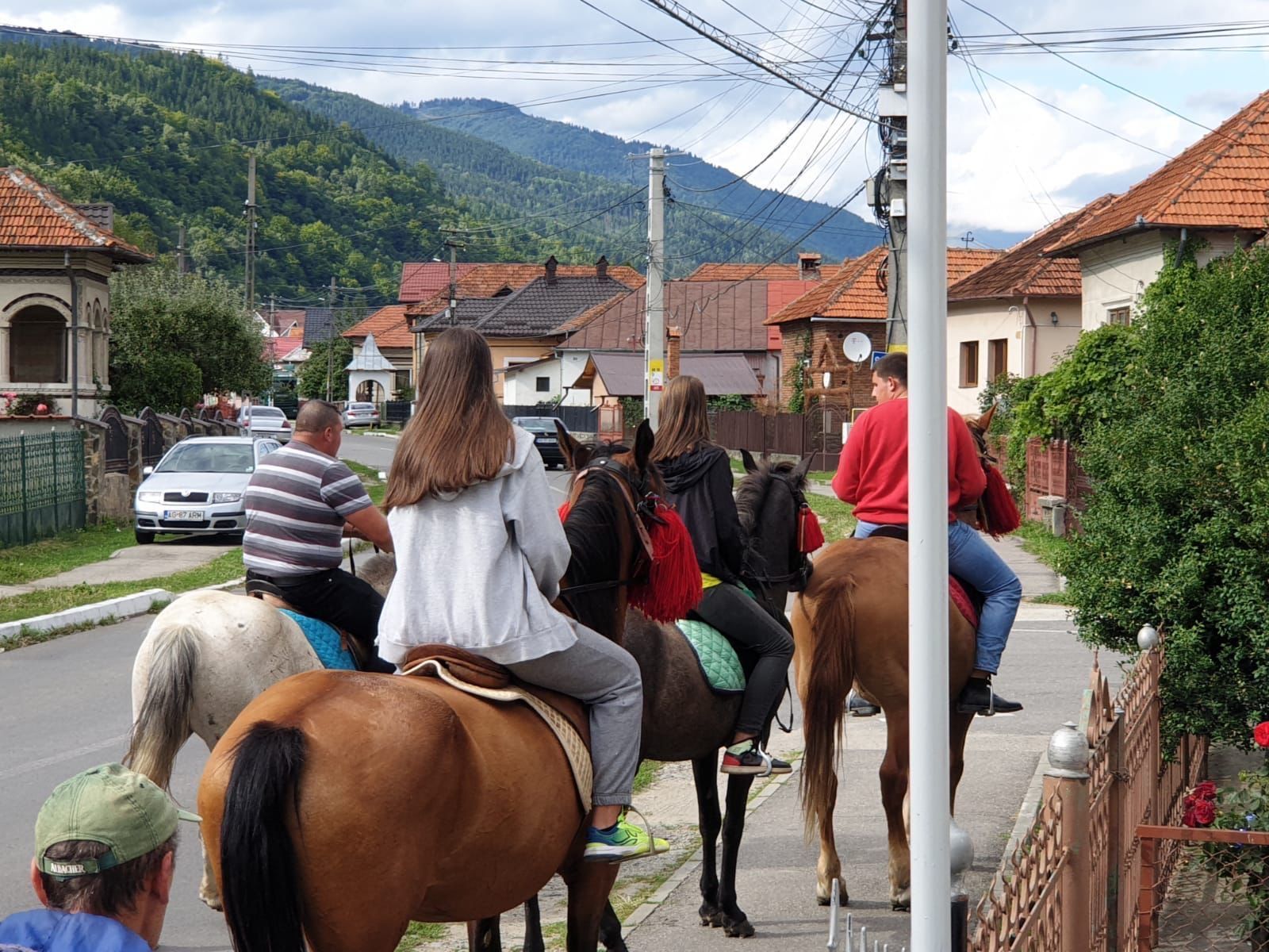 Pensiunea Amada - plimbare cu caii si căruțele - distracție la maxim pentru copii si adulți