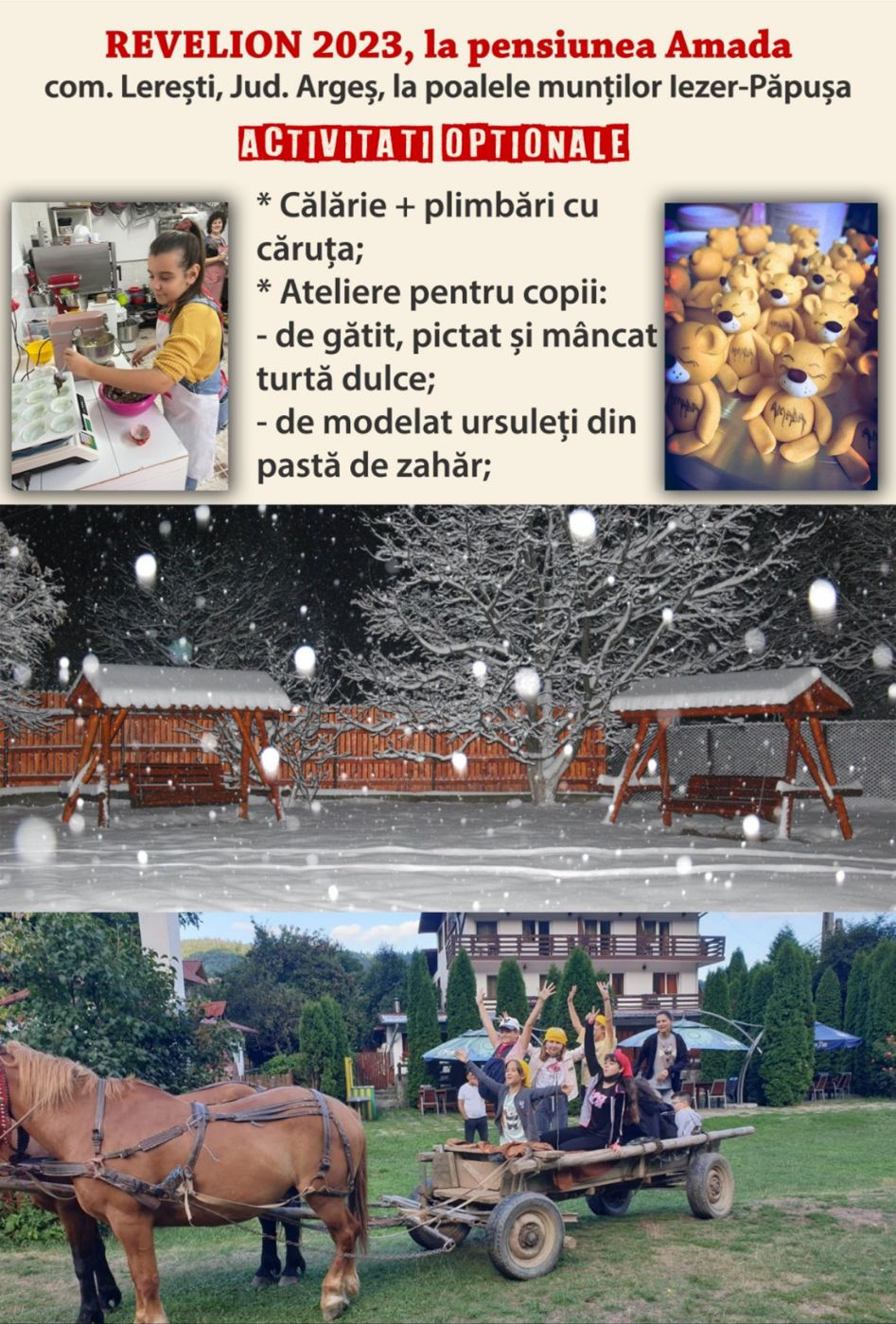 Oferta Revelion Pensiunea Amada Lerești Argeș