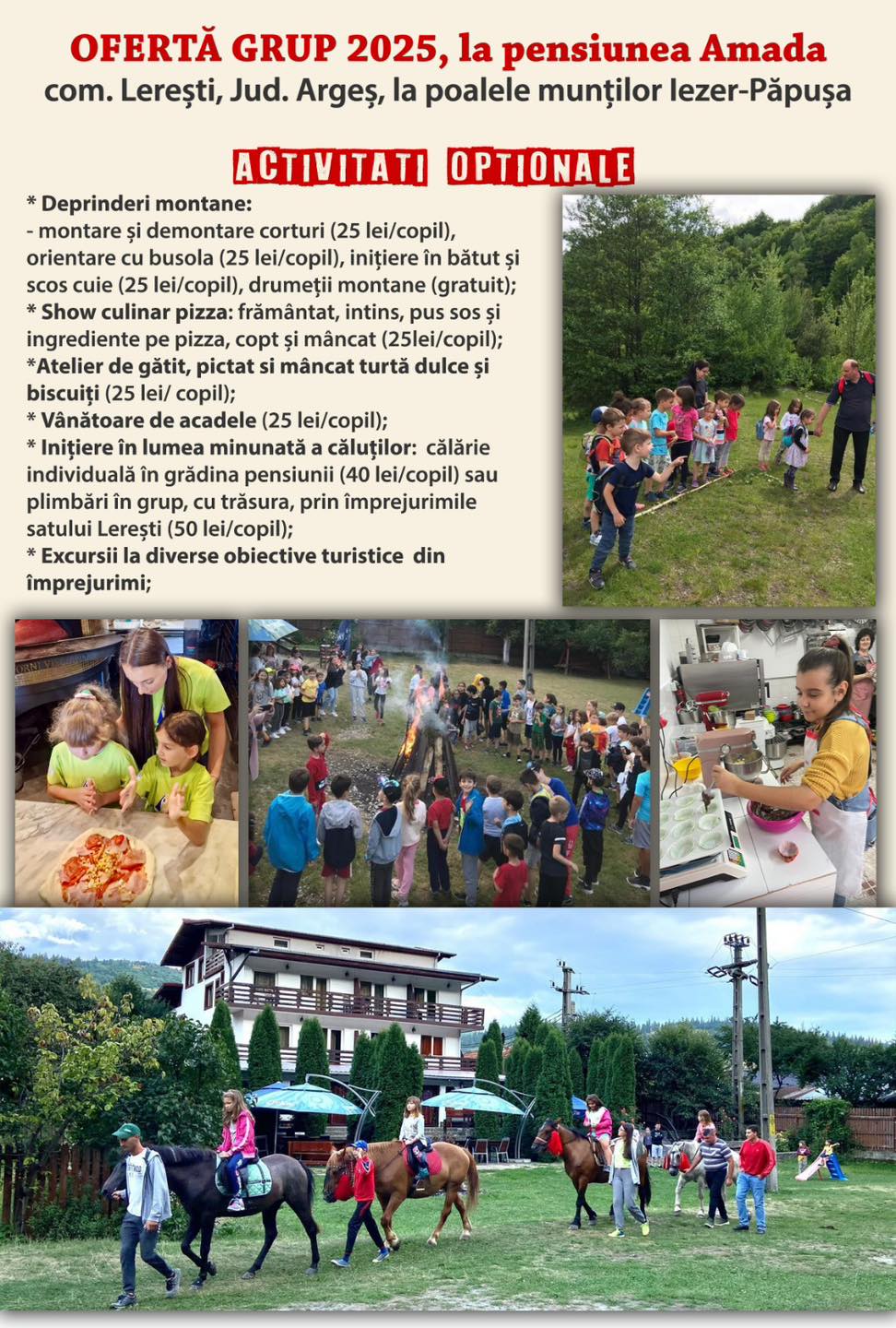 Oferta grupuri 2025